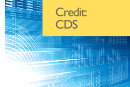 Credit Default Swap Pricing