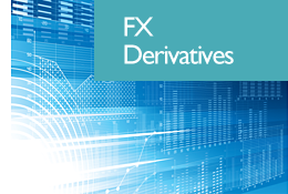 FX derivatives pricing models